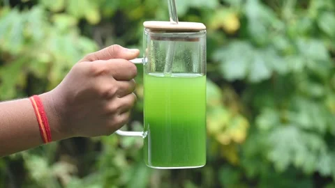 Bitter gourd or bitter melon juice on a blurry green background. 動画素材 330232537