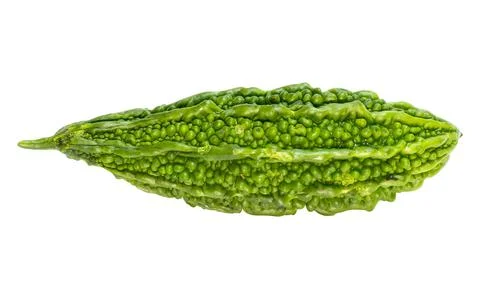 Bitter gourd. Stock Photos