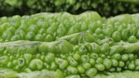 A bitter gourd, a vegetable often used as an ingredient in cuisine, is placed on Stock Footage 277418801