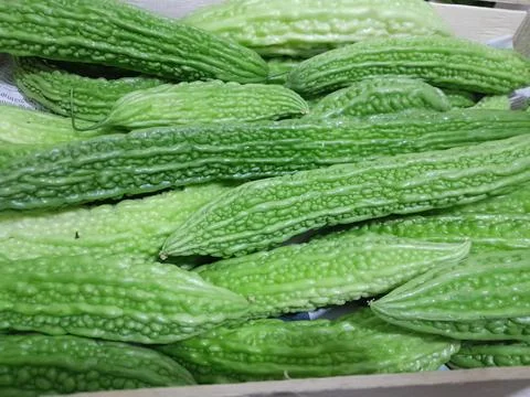 Bitter Gourd vegetables. Fotos de archivo