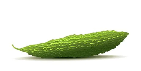 Bitter gourd vegtable Illustrazione stock