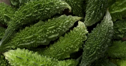 Bitter gourds background texture. Stock Footage 283135587