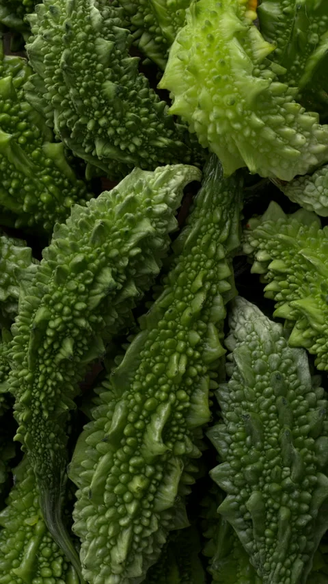 Bitter gourds background texture. Vertical video. Stock Footage 283132669