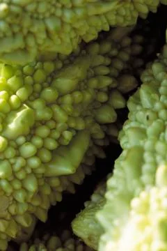 Bitter melon, extreme close-up Foto stock