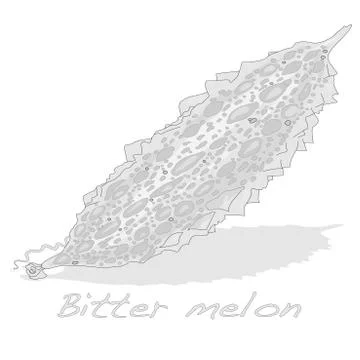 Bitter melon isolated Stock Illustration