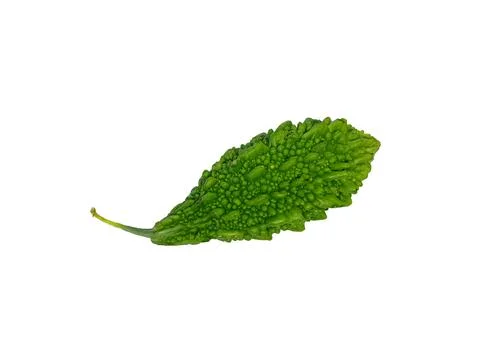 Bitter Melon isolated in white background Stock Photos