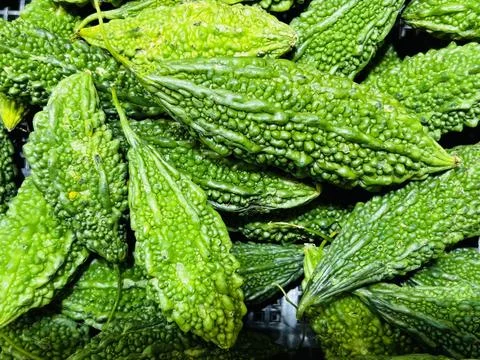 Bitter melon large fruit Stock Photos