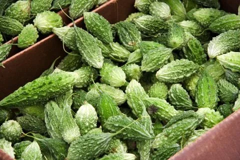 Bitter melon Stock-Fotos
