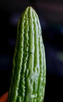 Bitter melon Stock Photos