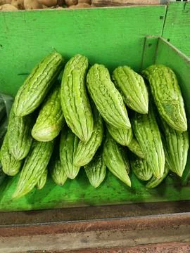 Bitter melon stacked neatly inside green vegetable display box Foto stock