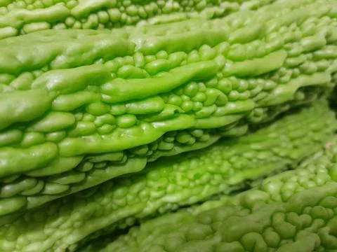 Bitter melon vegetable on isolated close up. Raw food bitter melon vegetable 스톡 사진