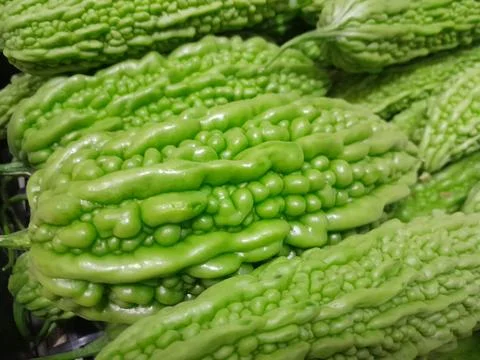 Bitter melon vegetable on isolated close up. Chinese bitter melon vegetable Stock Photos