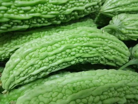 Bitter melon vegetables on isolated full background Stock Photos