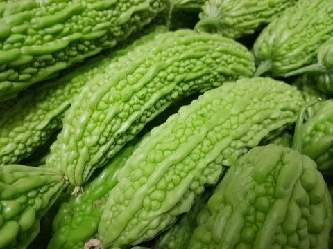 Bitter melon vegetables on isolated full background Фото
