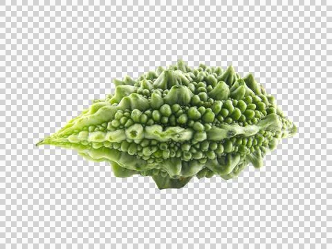 Bitter melon on white background.Organic vegetable can be eaten fresh and coo Stock Photos