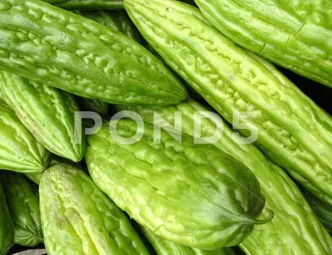 Bitter melons Stock Photos