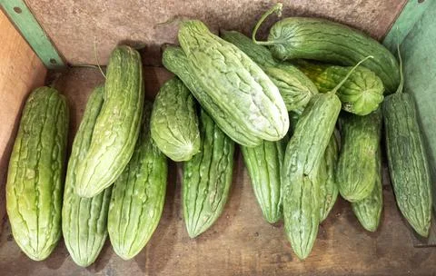 Bitter melons on a rustic surface Stock Photos