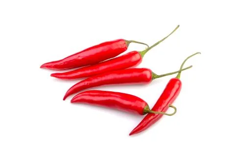 Bitter pepper on a white background 库存照片