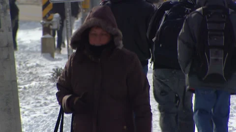 Bitterly cold windy snowy winter day in Canada Stock Footage 37247712