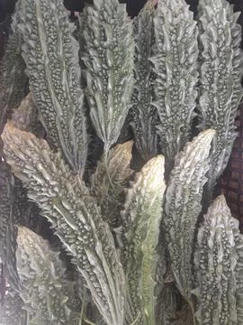 Bitter melon vegetable healthy nutritional raw food Fotos Stock