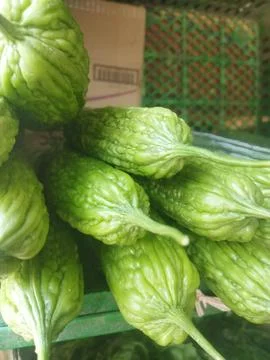 Bittermelon/Bitter Gourd Stock Photos