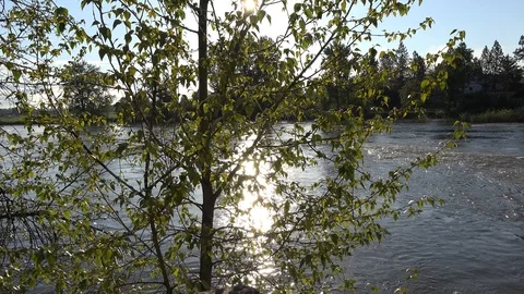 Bitterroot flood 50 動画素材 90361567