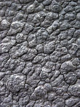 Bitumen cracked crust Stock Photos