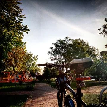 Biycle in the park Stock Photos