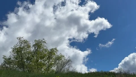 A bizarre cloud floats in the sky over a meadow and a tree in the wind. Video stock 333053578