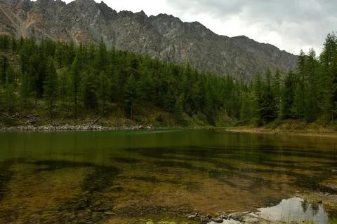 A bizarre pattern on the bottom of a picturesque lake is visible through th.. Stock Photos