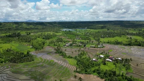 Bizarre patterns on ground from rice terraces. Aerial view of beautiful area in Stock Footage 233228270