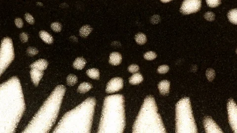 Bizarre shadow of bamboo palm tree leaves on gravel floor Stock Footage 112394058