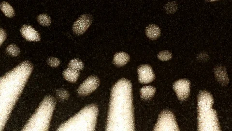 Bizarre shadow of bamboo palm tree leaves on gravel floor Stock Footage 112395303