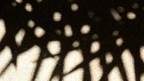 Bizarre shadow of bamboo palm tree leaves on gravel floor Stock Footage 112415811