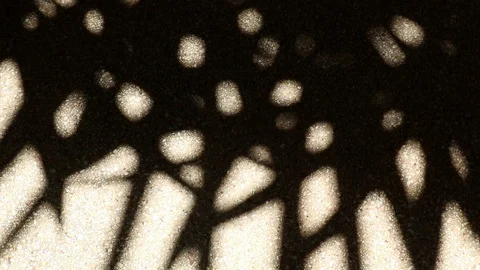 Bizarre shadow of bamboo palm tree leaves on gravel floor Stock Footage 112472621