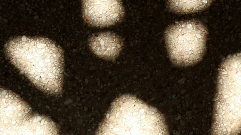 Bizarre shadow of bamboo palm tree leaves on gravel floor Stock Footage 112560823