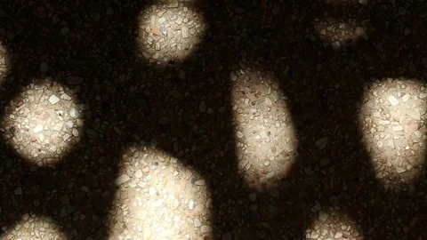 Bizarre shadow of bamboo palm tree leaves on gravel floor Stock Footage 112561334