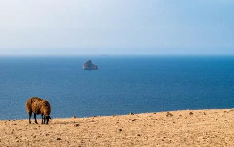 Bizerte, kaf Abed Stock Photos