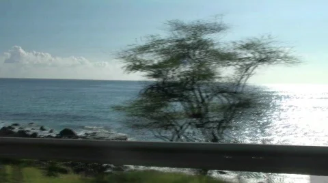 BJ Video stock 686799