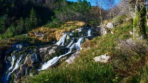 Bjoergvin | 6K Forest Streams X | 16:9 Stock Footage 81387658
