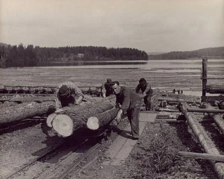 Björkhult impregnation array. Posts are moved up from the water on the tro.. Stock-Fotos