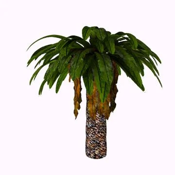 Bjuvia Tree Stock Illustration