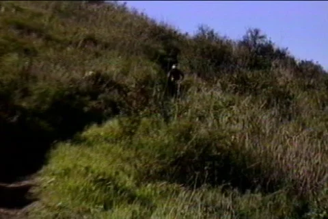 Bk  103 Stock Footage 655149