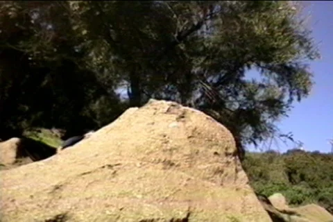 Bk 73 Stock Footage 655281