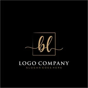 BL Initial handwriting logo with rectangle template vector Stock Illustration