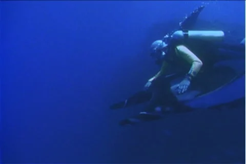 BL113-011 Stock Footage 7908852