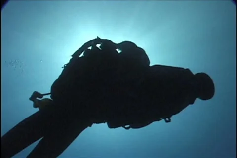 BL113-041 動画素材 7909338