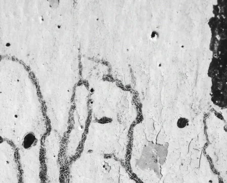 Black Absorption Video stock 105299