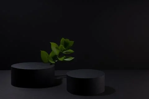 Black abstract stage with two circle podiums mockup, fresh tropical green lea Stock Photos