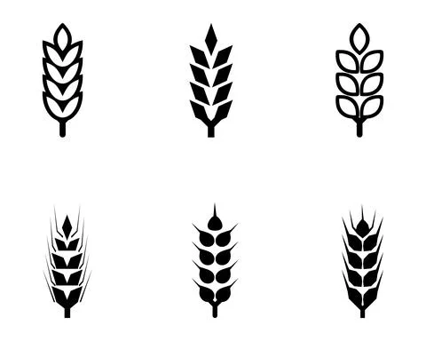 Black abstract wheat ears hand drawn set. Stock Illustration